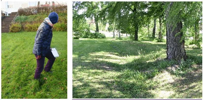 Grønt&shy;anlegg og kultur&shy;minner i vekst 8