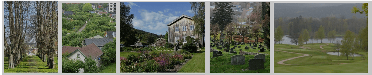 Grønt&shy;anlegg og kultur&shy;minner i vekst 1