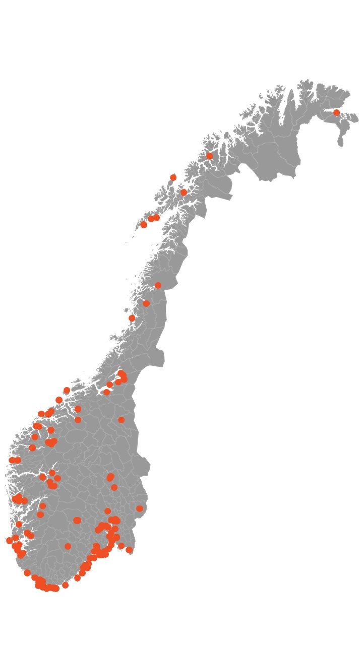 Tette trehus: hvordan redusere faren for storbrann 1