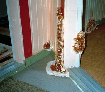 Råd om energi&shy;sparing i gamle hus 9