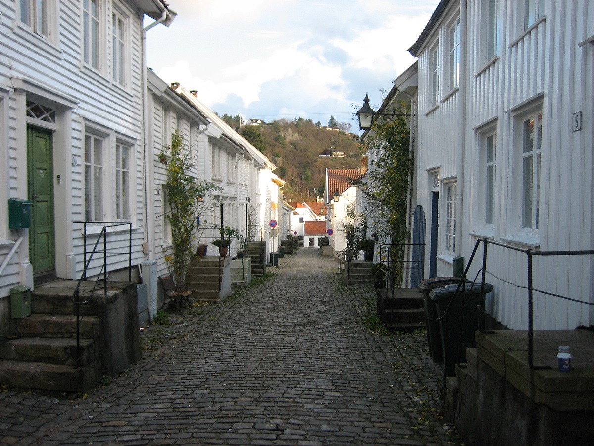 Korleis forvalte kultur&shy;miljø og land&shy;skap av nasjonal interesse 15