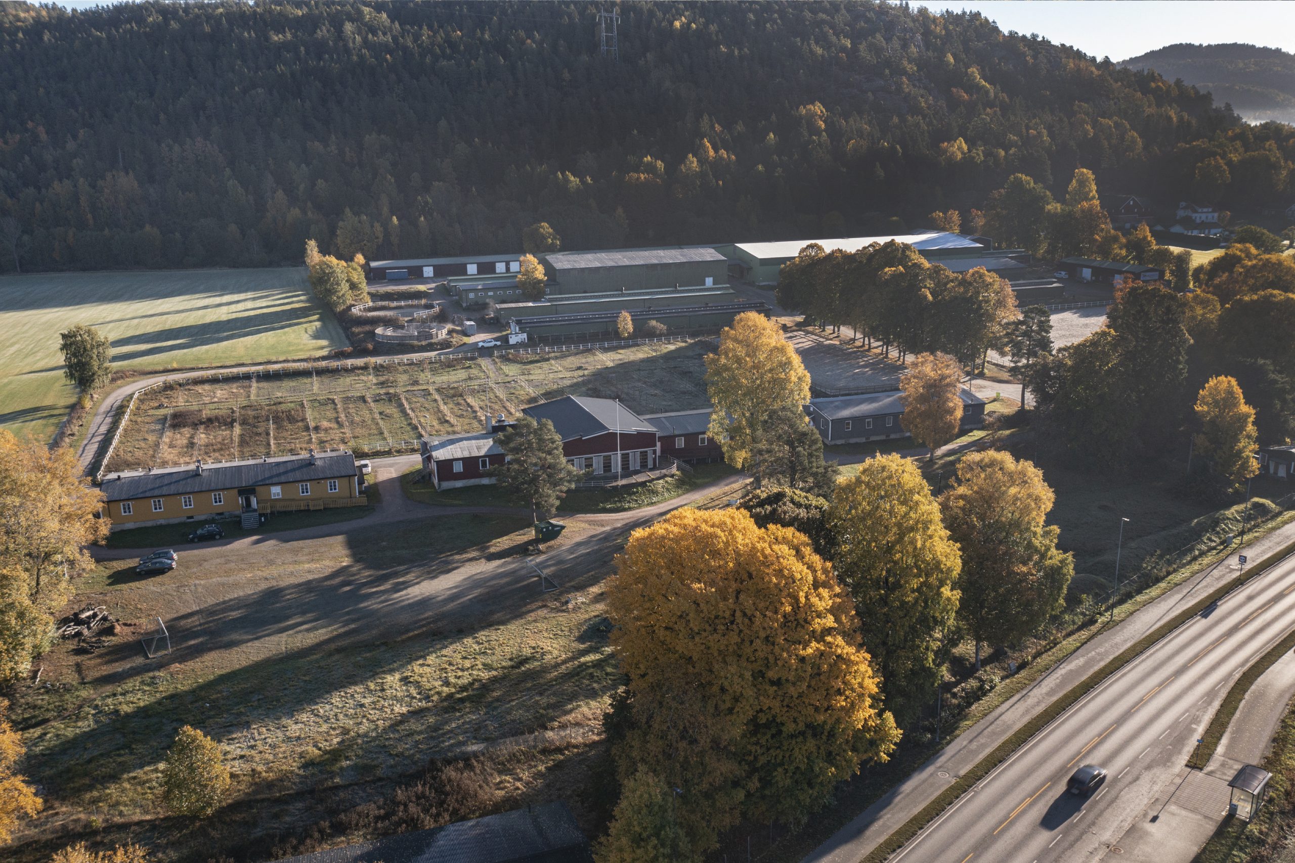 Korleis forvalte kultur&shy;miljø og land&shy;skap av nasjonal interesse 9