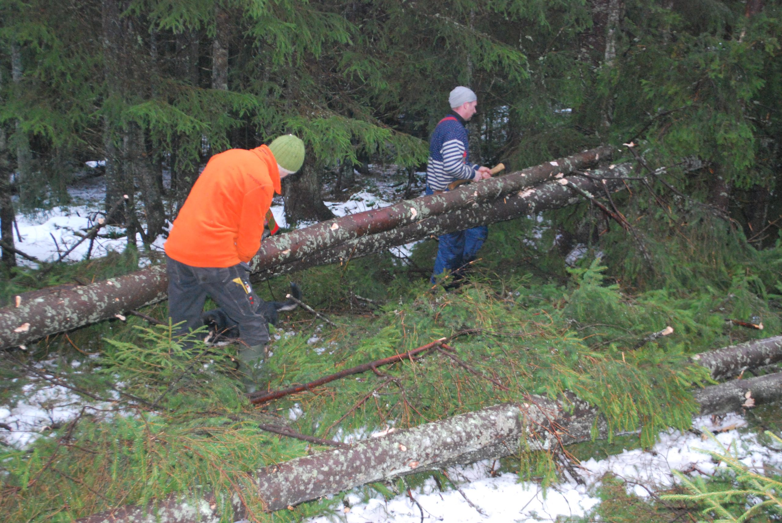 Material&shy;kvalitet: treverk 3