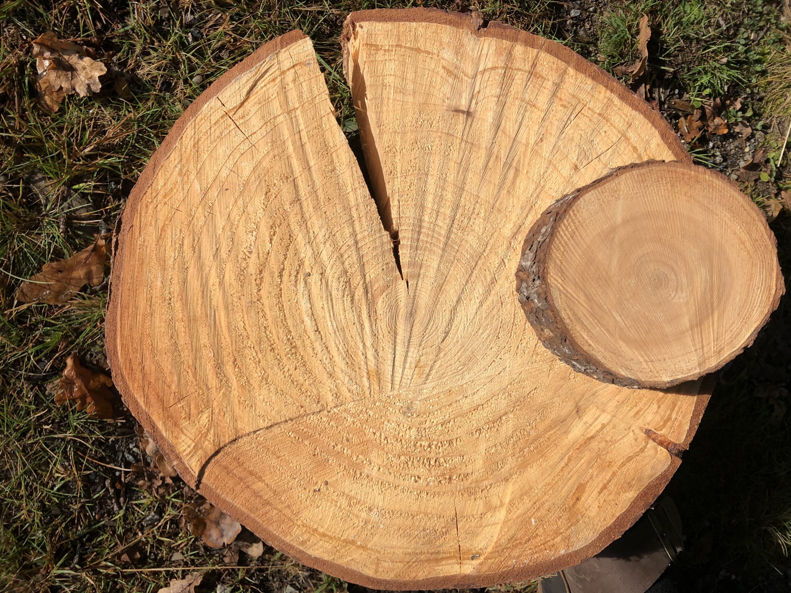 Material&shy;kvalitet: treverk 10