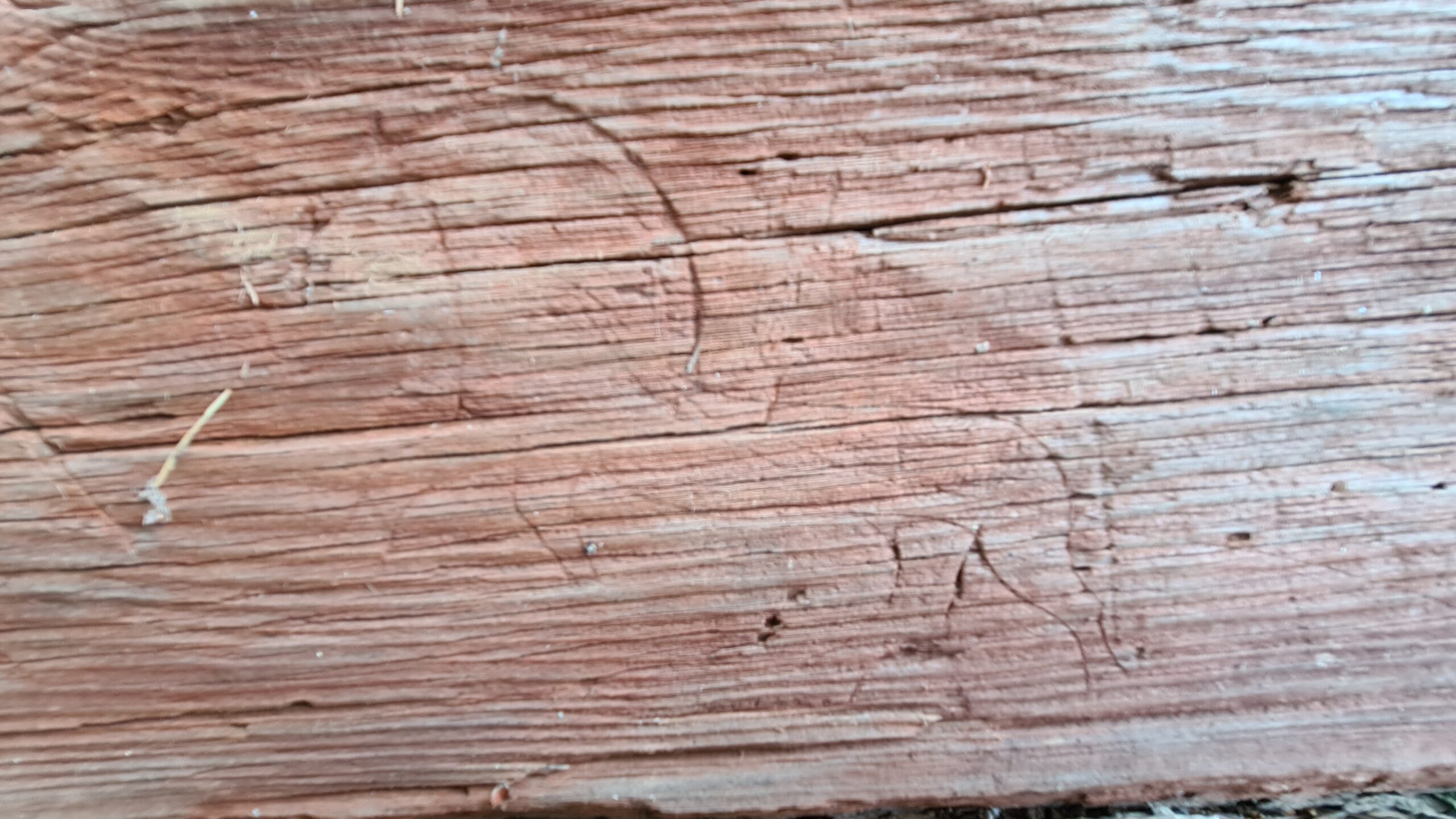 Dendro&shy;datering av stående bygg&shy;verk 4