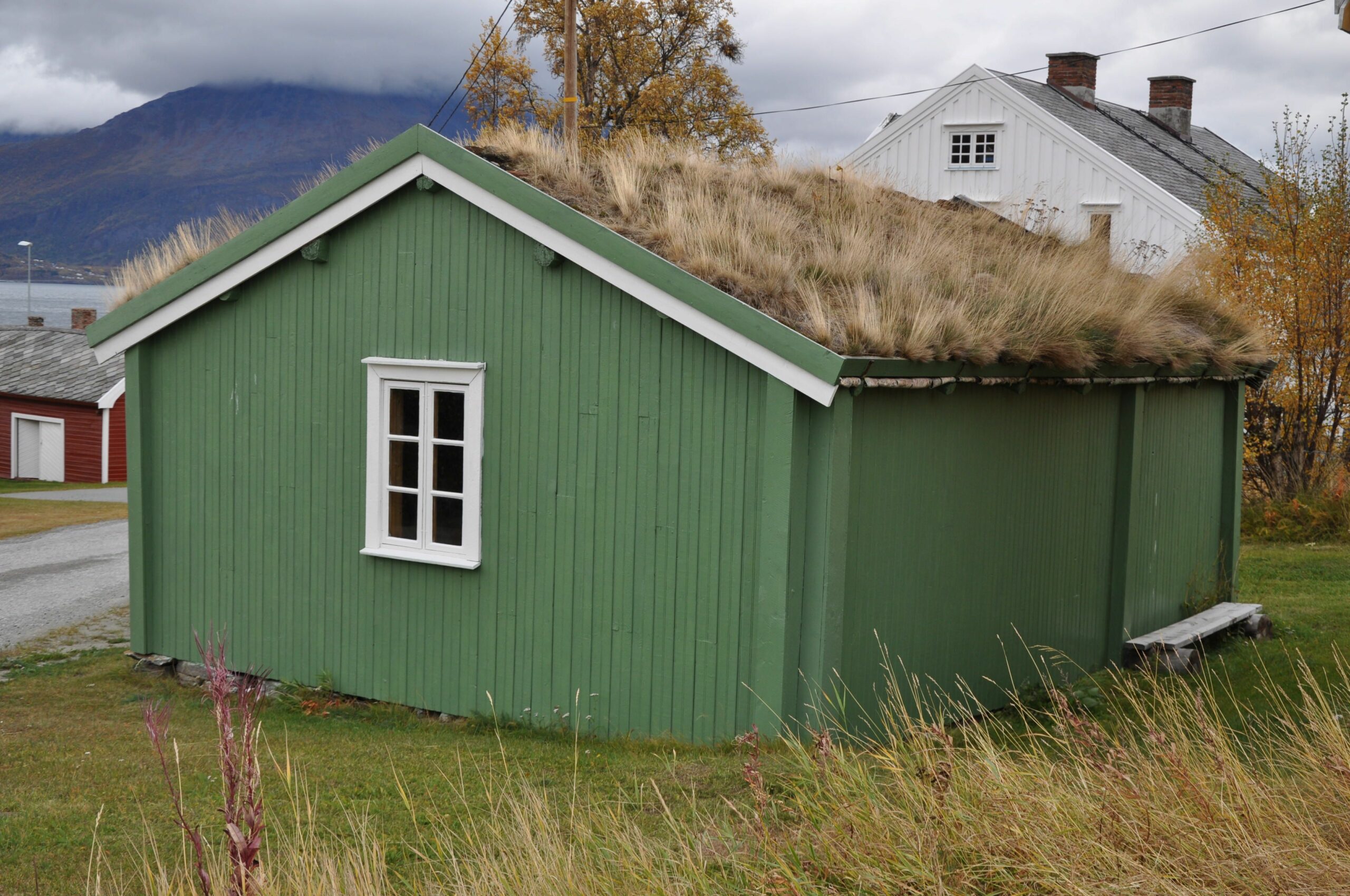 Dendro&shy;datering av stående bygg&shy;verk 2