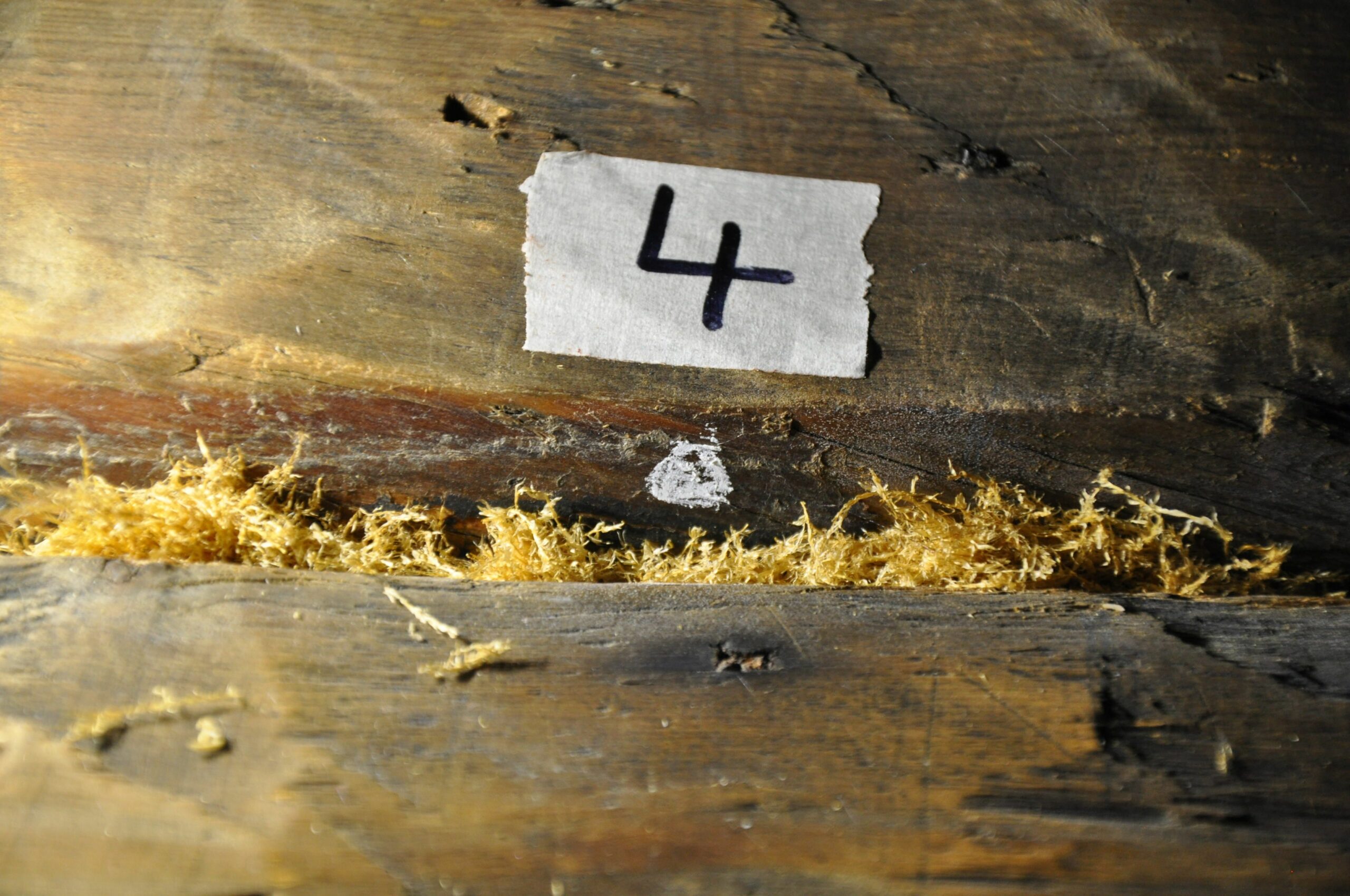 Dendro&shy;datering av stående bygg&shy;verk 6