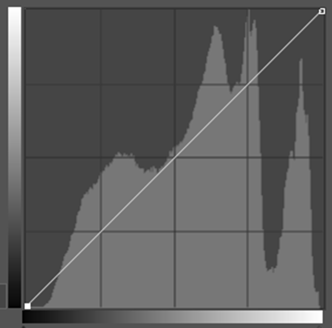 Foto&shy;dokument&shy;asjon av kultur&shy;miljø 10
