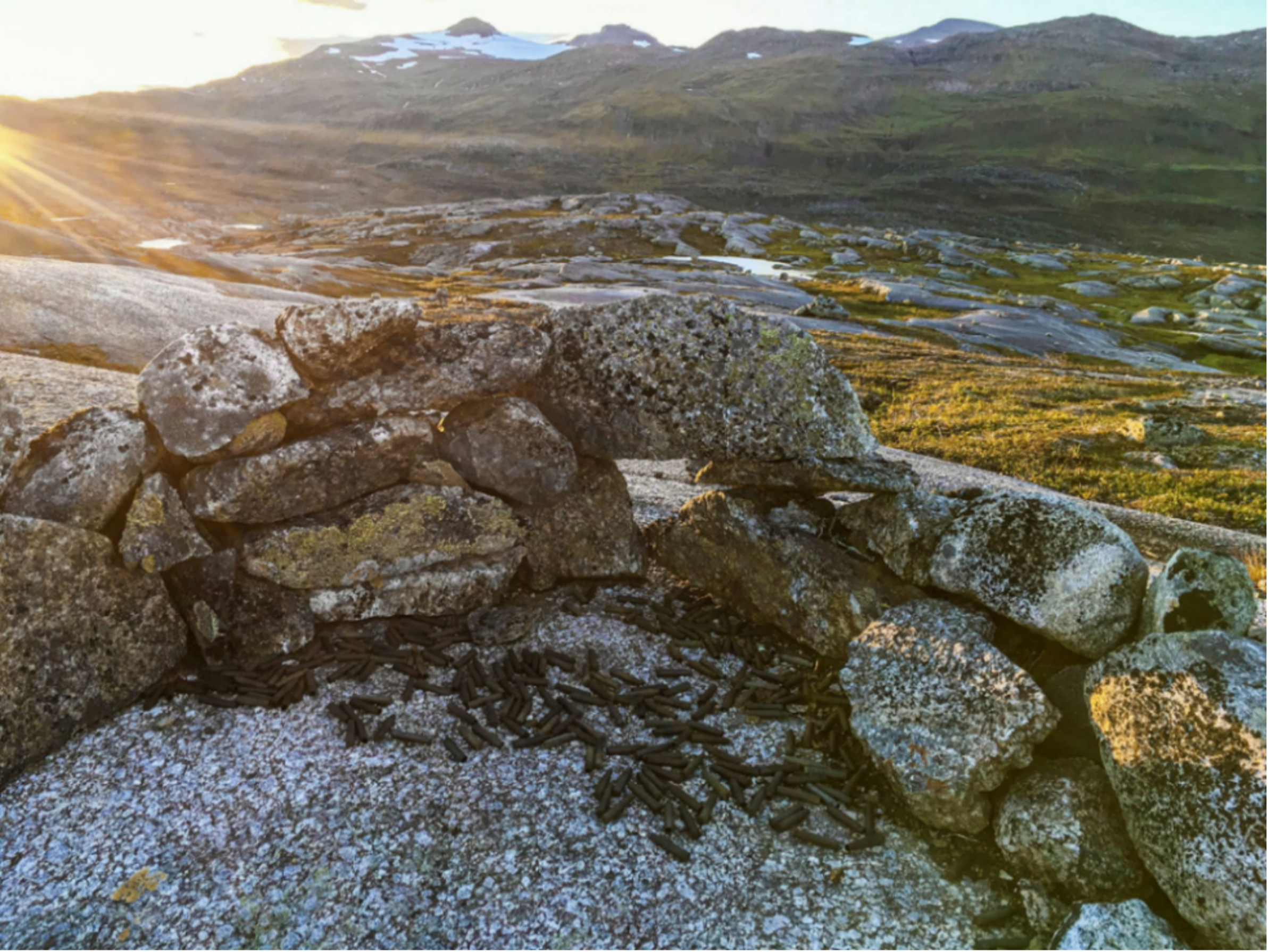 Rett&shy;leiing til utarbeiding av dokumentasjon til fredings&shy;vedtak 6