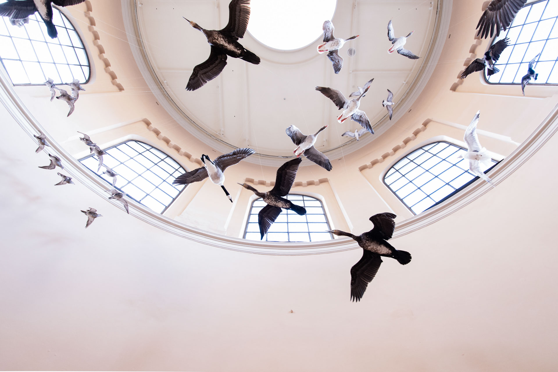 Nytt liv i historisk museum 1