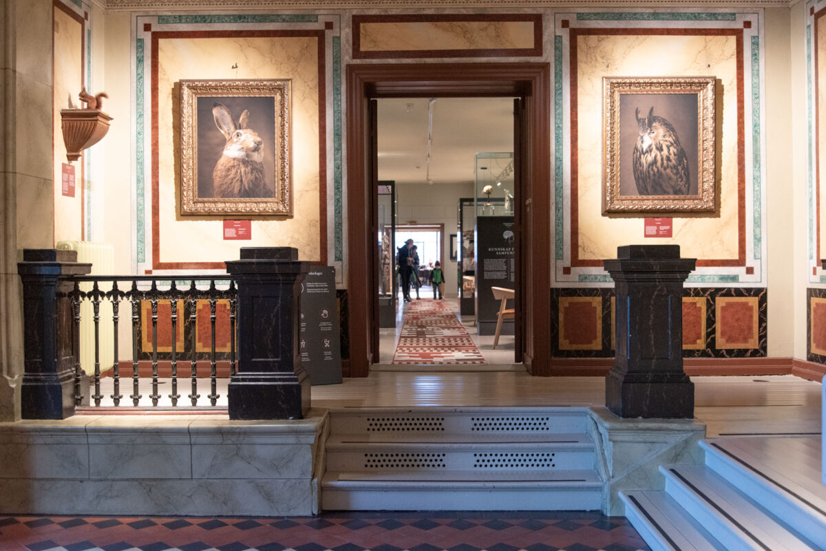 Ny heis i historisk museum 4