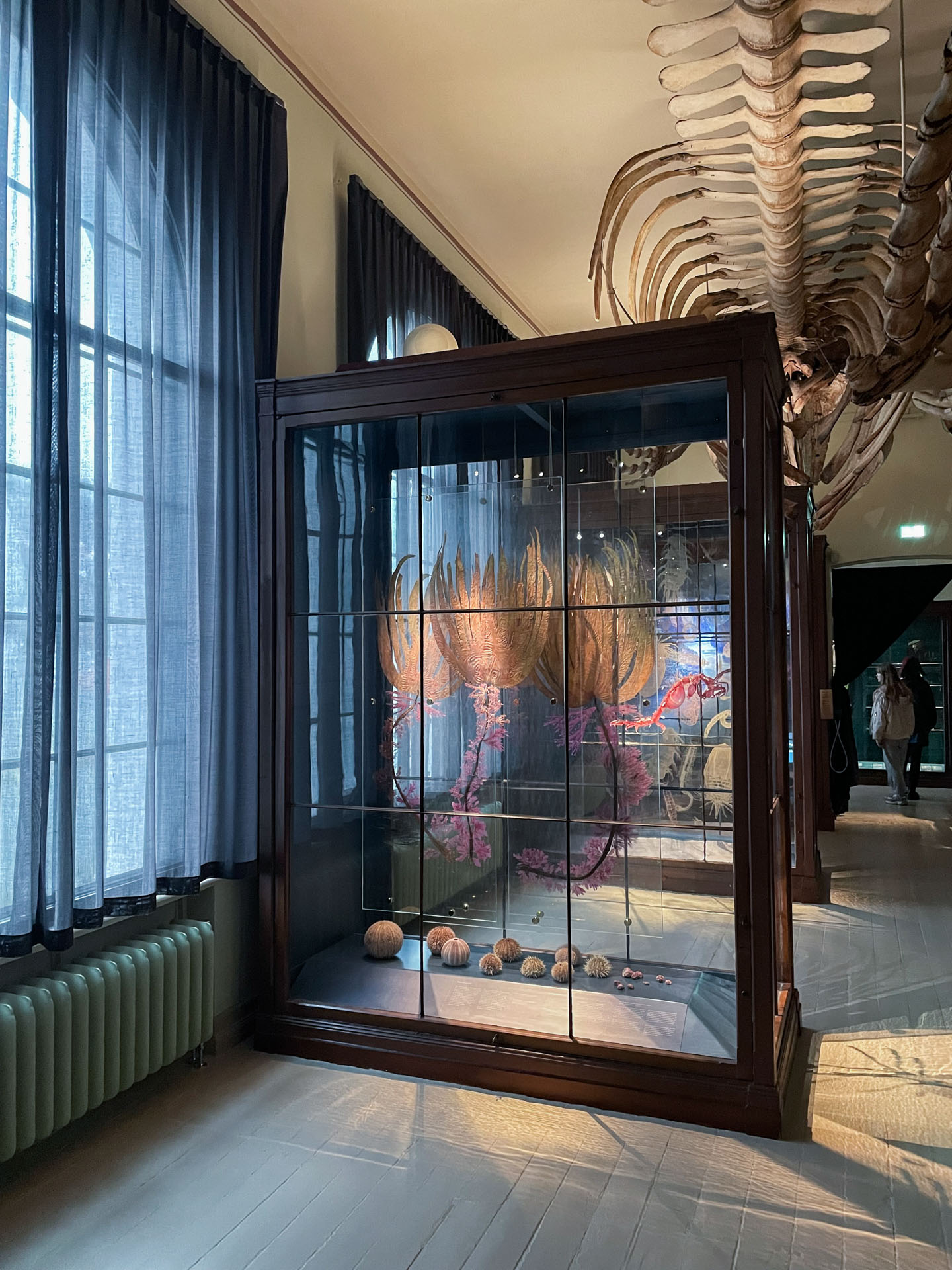 Ny solavskjerming i gammelt museum 6