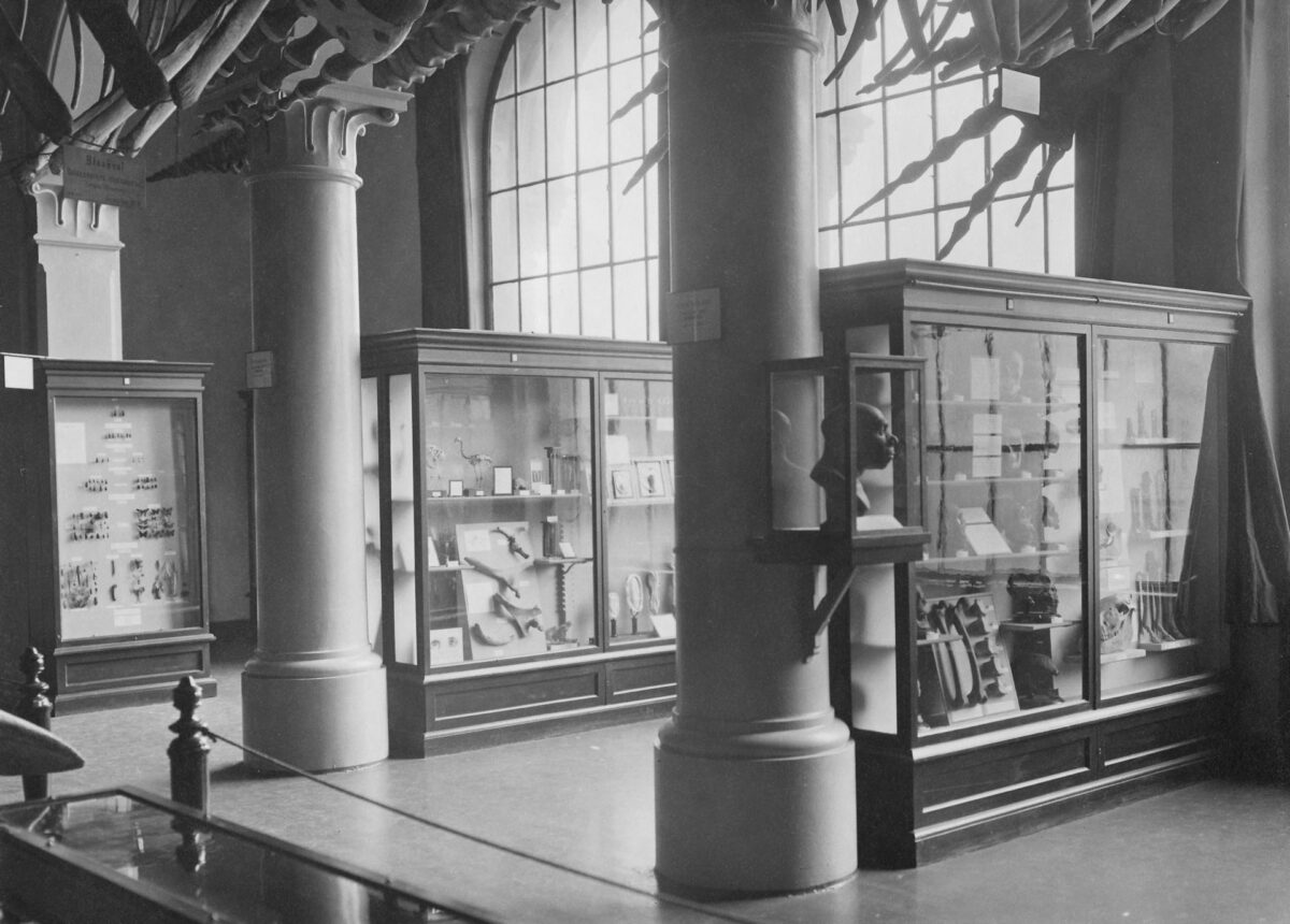 Ny solavskjerming i gammelt museum 4