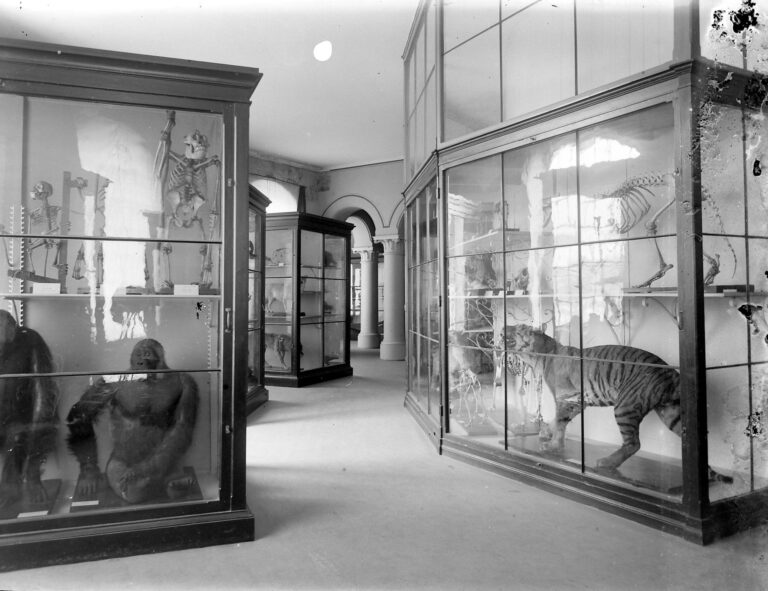 Ny solavskjerming i gammelt museum 5