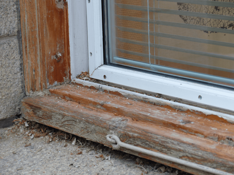 Vindusrestaurering 8