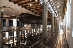 Akrylglass ivaretar sikkerhet og opplevelse 2