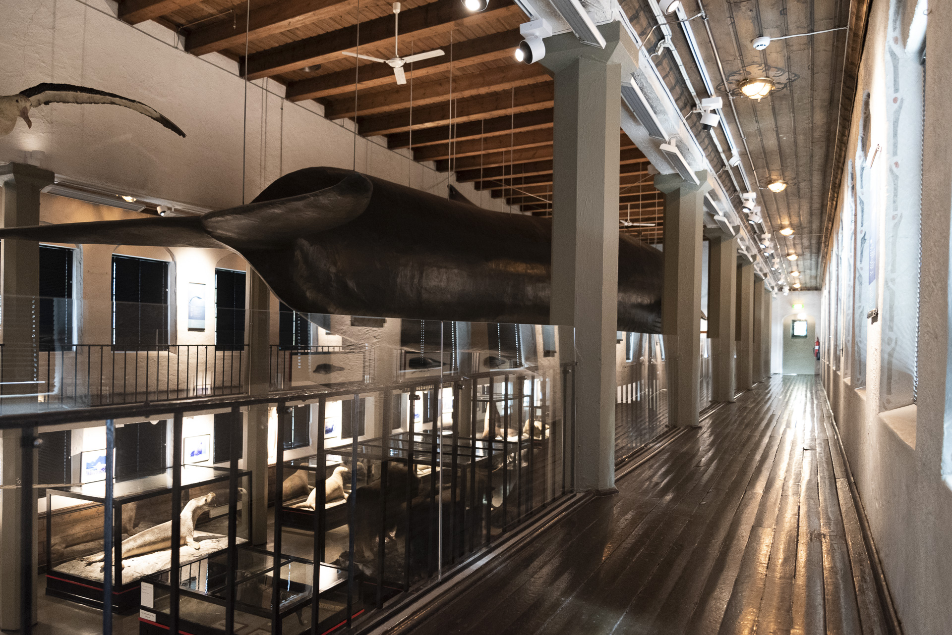 Akrylglass ivaretar sikkerhet og opplevelse 1