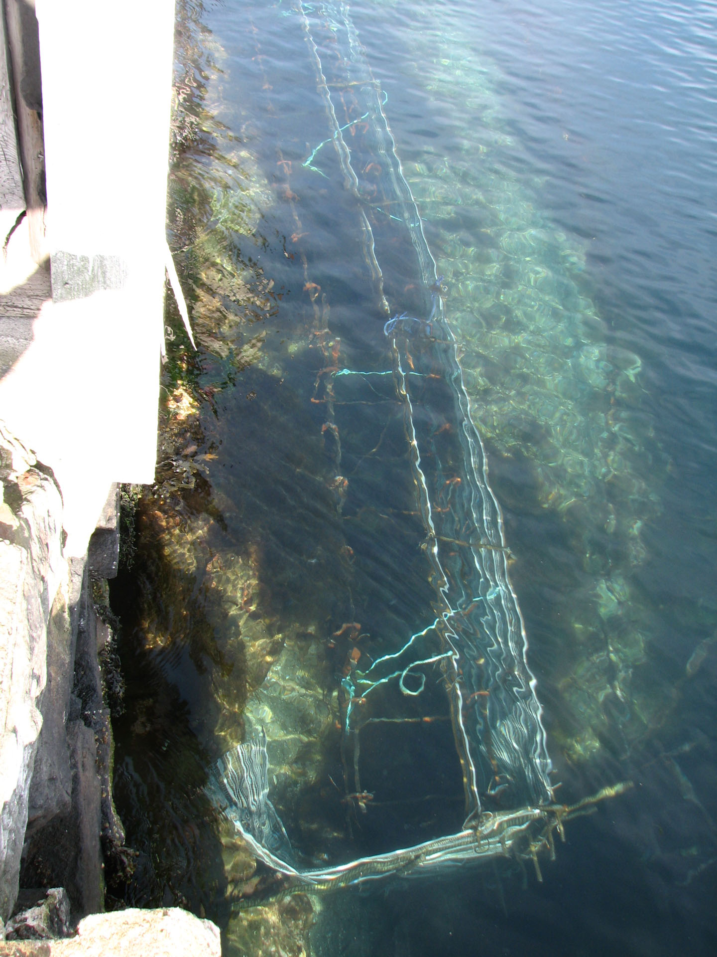 Sjøhuset skal tåle nytt klima 6