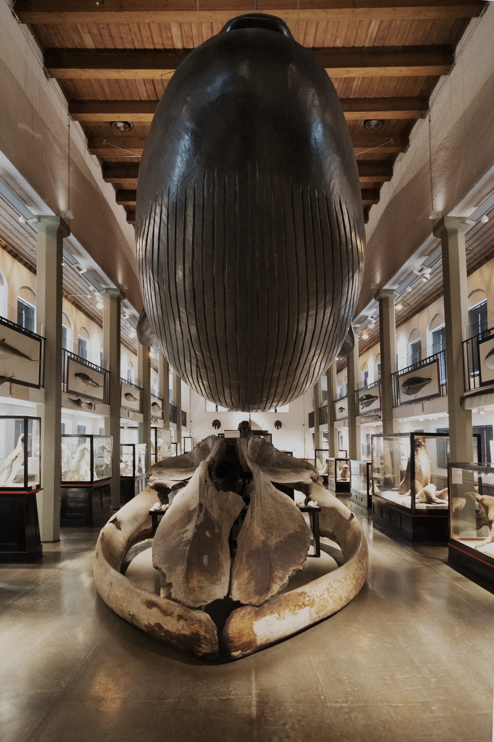 Akrylglass ivaretar sikkerhet og opplevelse 5