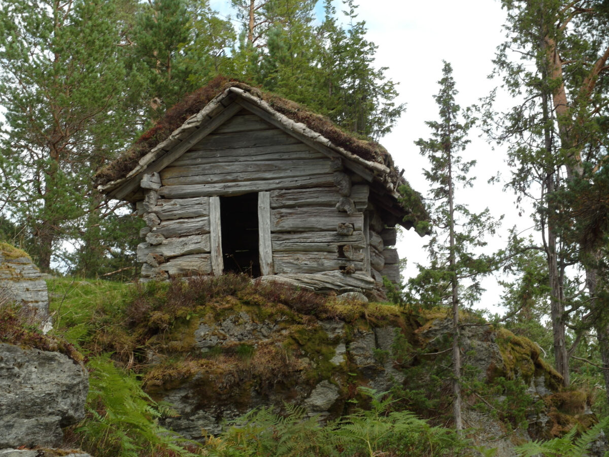 Vernekledning på eit utsett tømmerbygg 5