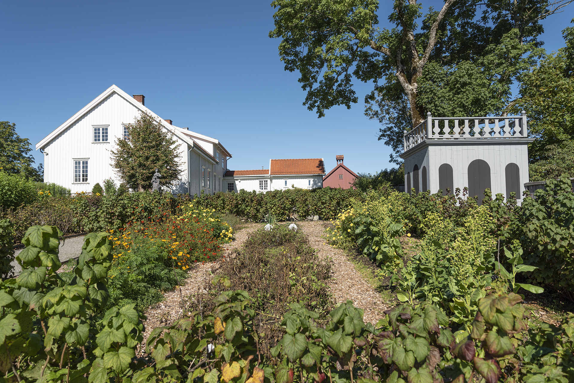 Hage til nytte og pryd 1