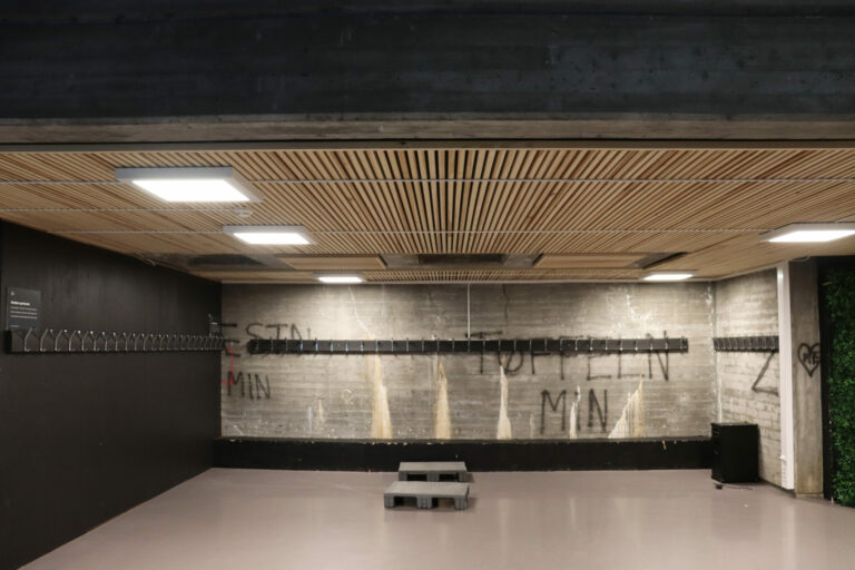 Fra vann til lydbølger 6