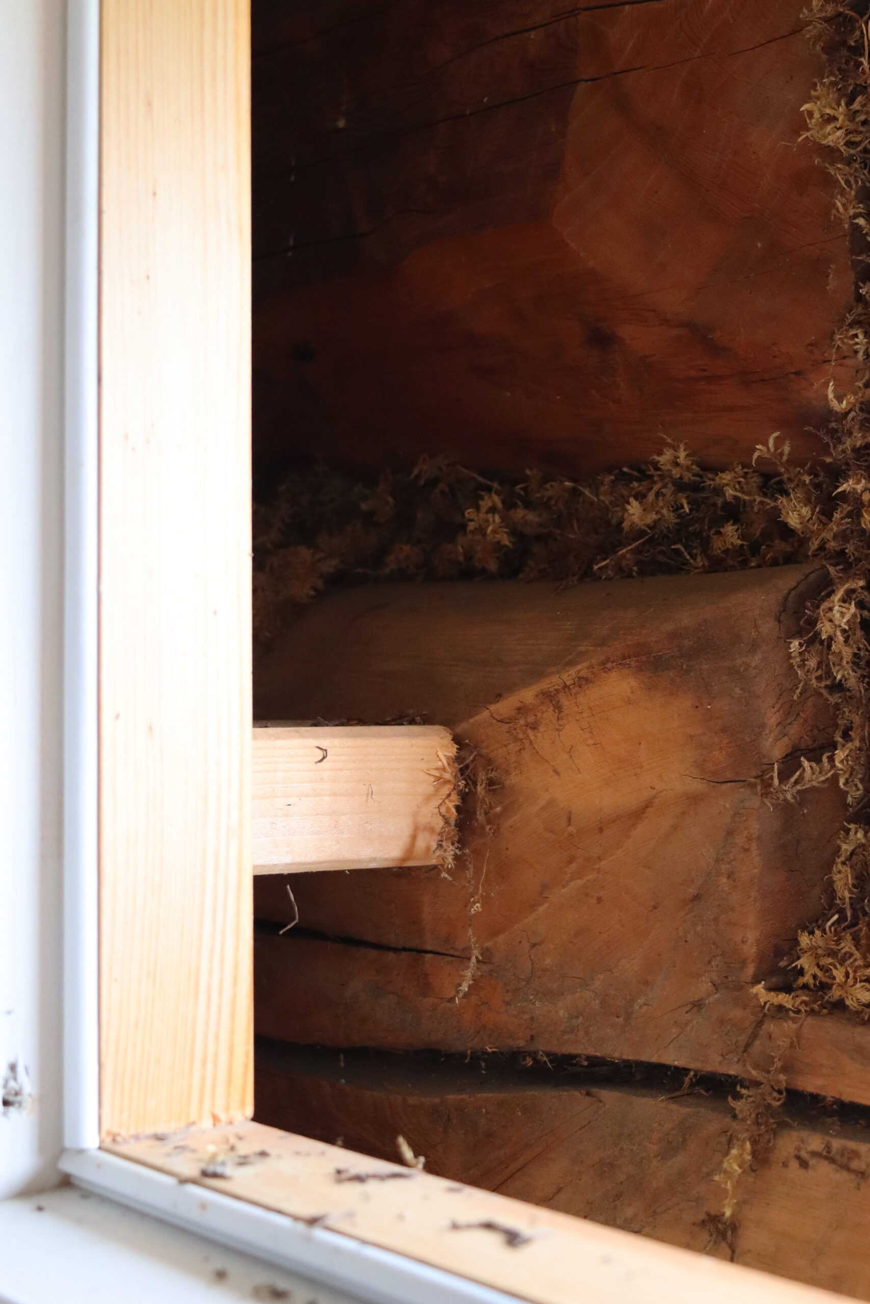 Kreativ løysing for atelier 8