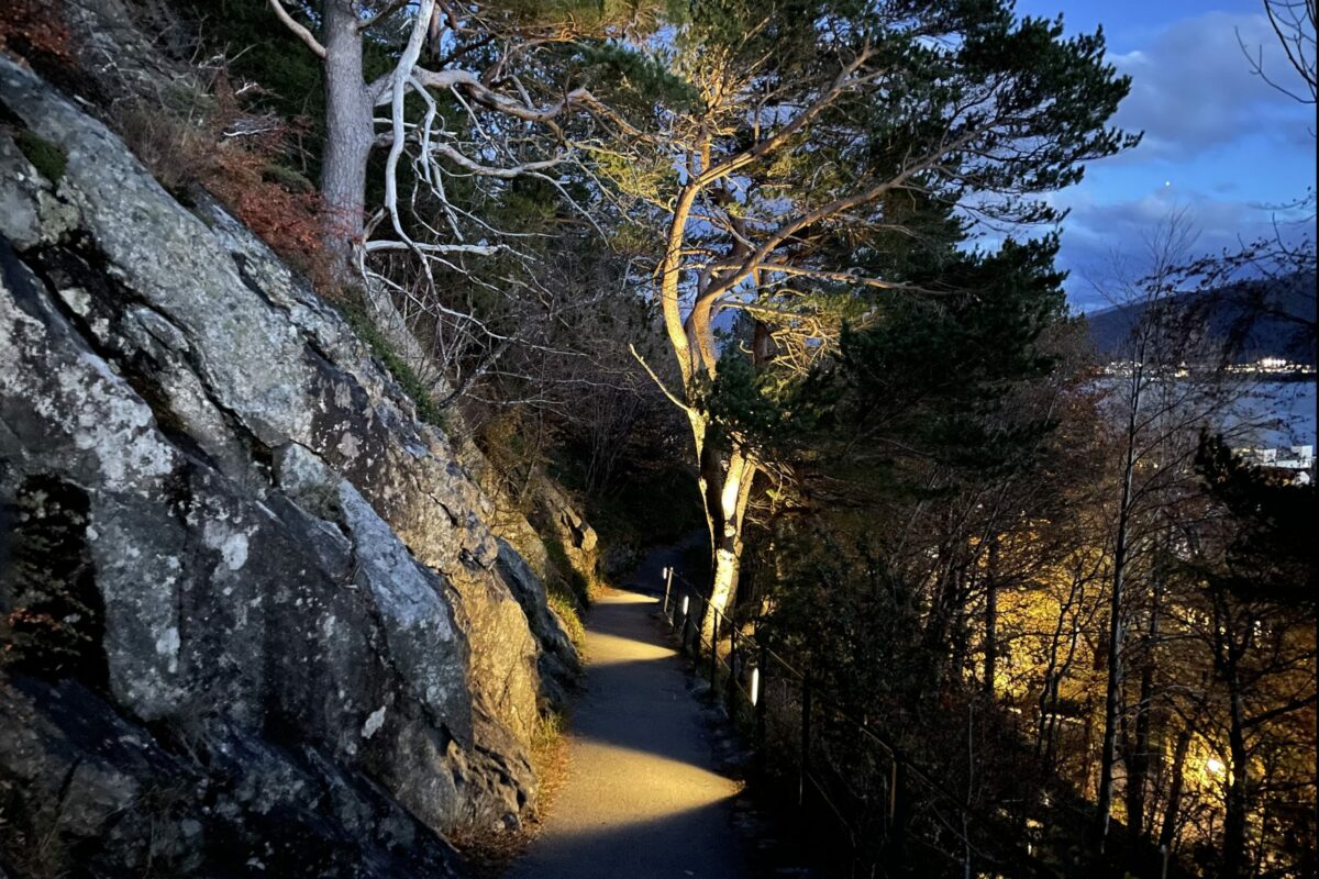 Rehabilitering av historisk trappeanlegg 5