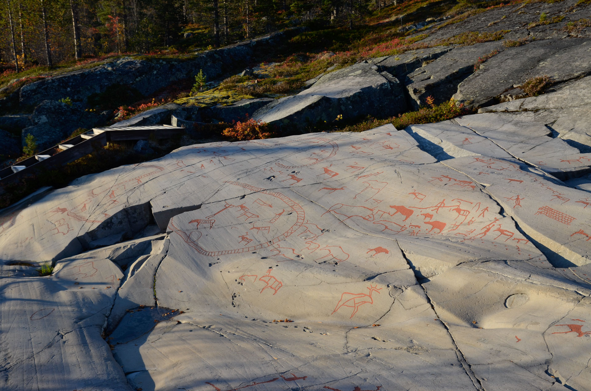 Bevaring og skjøtsel av bergkunsten i Alta 1