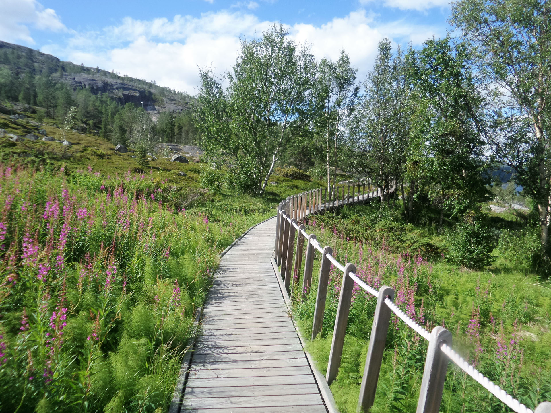 Bevaring og skjøtsel av bergkunsten i Alta 4