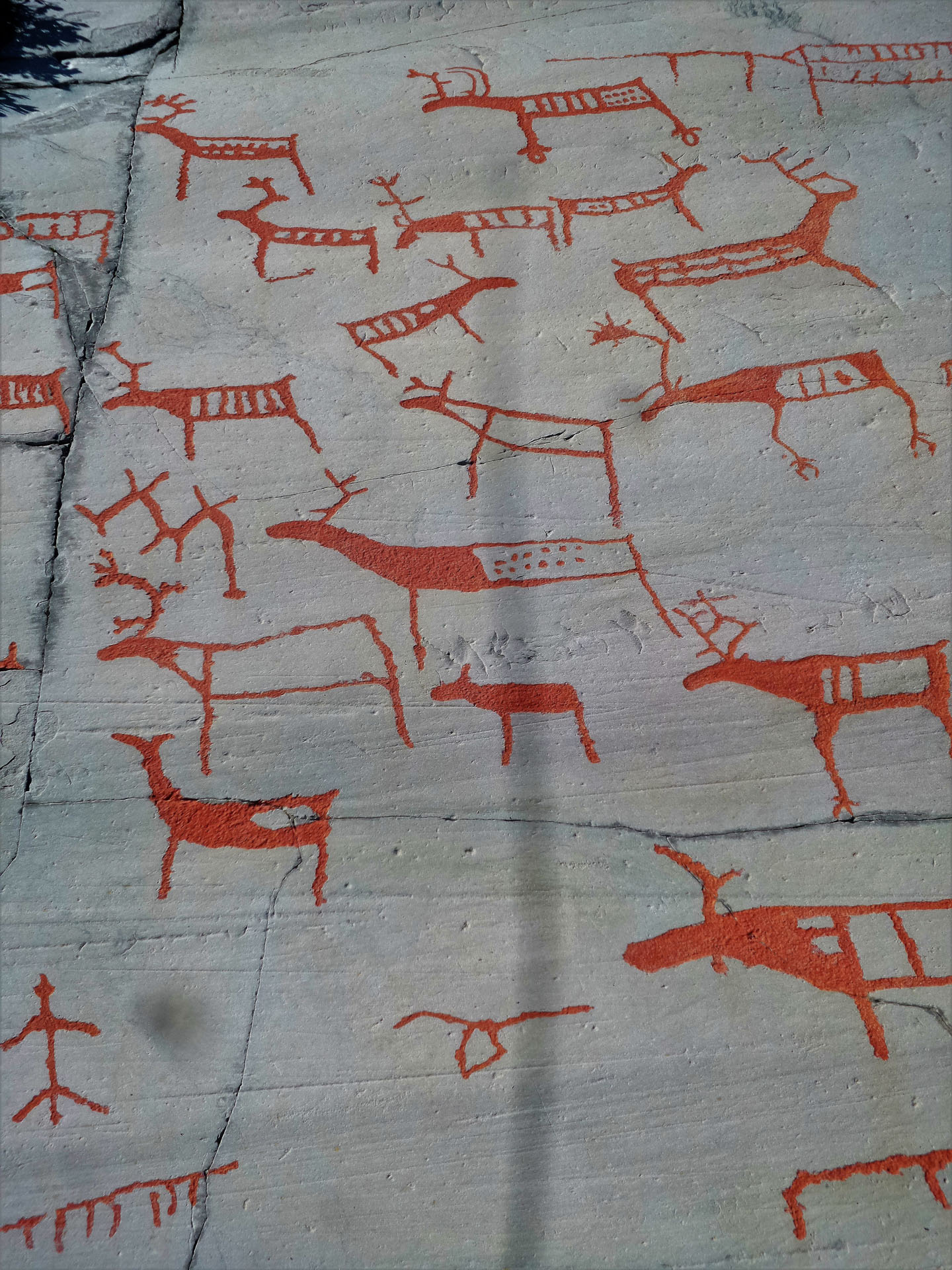 Bevaring og skjøtsel av bergkunsten i Alta 3