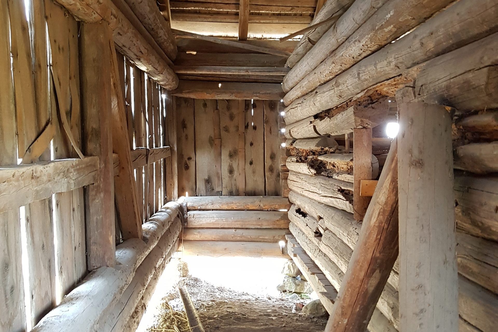 Ombruk av treskelåve til overnattingssted 11