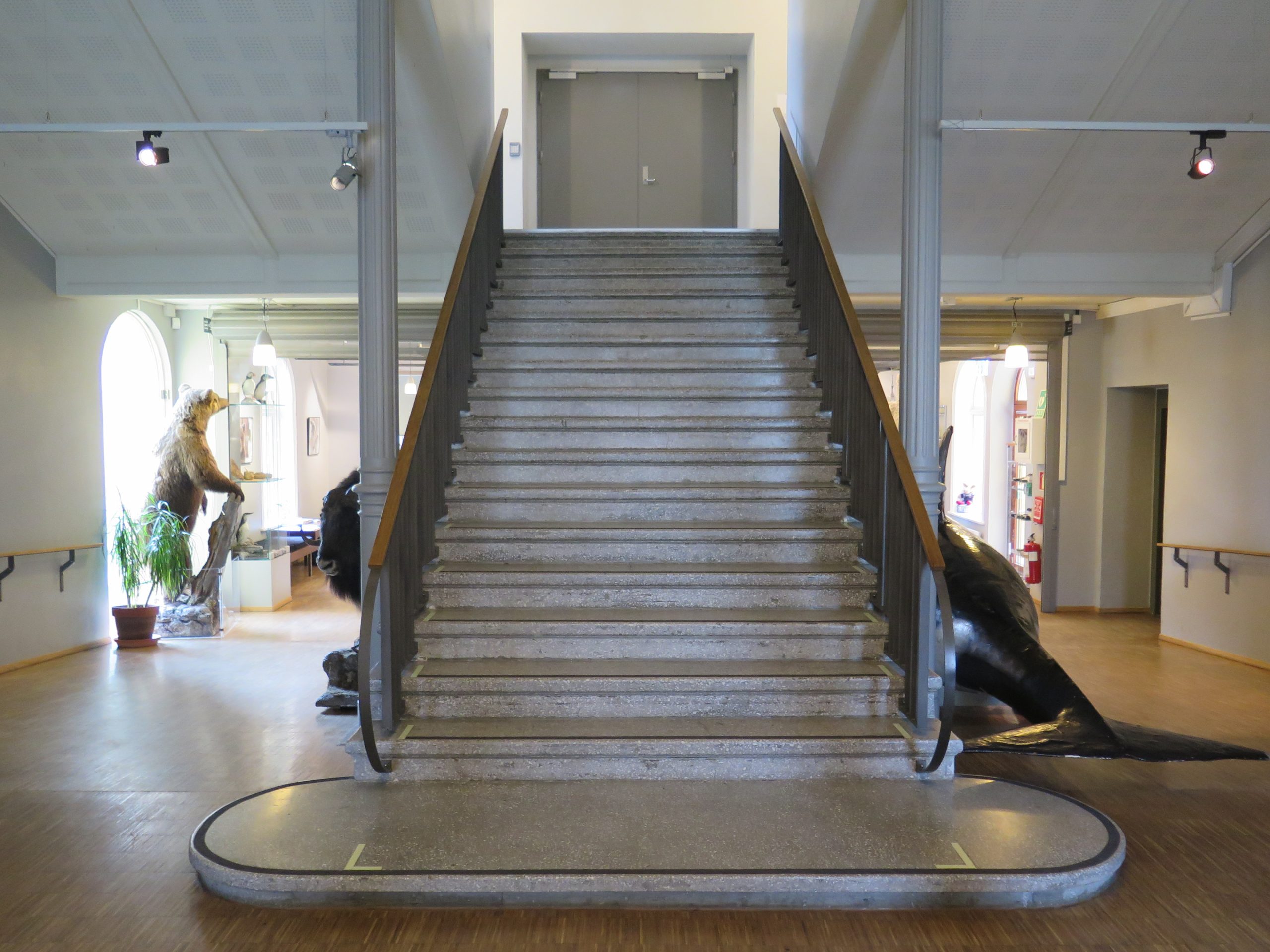 Kontrastmerking i trapper 1