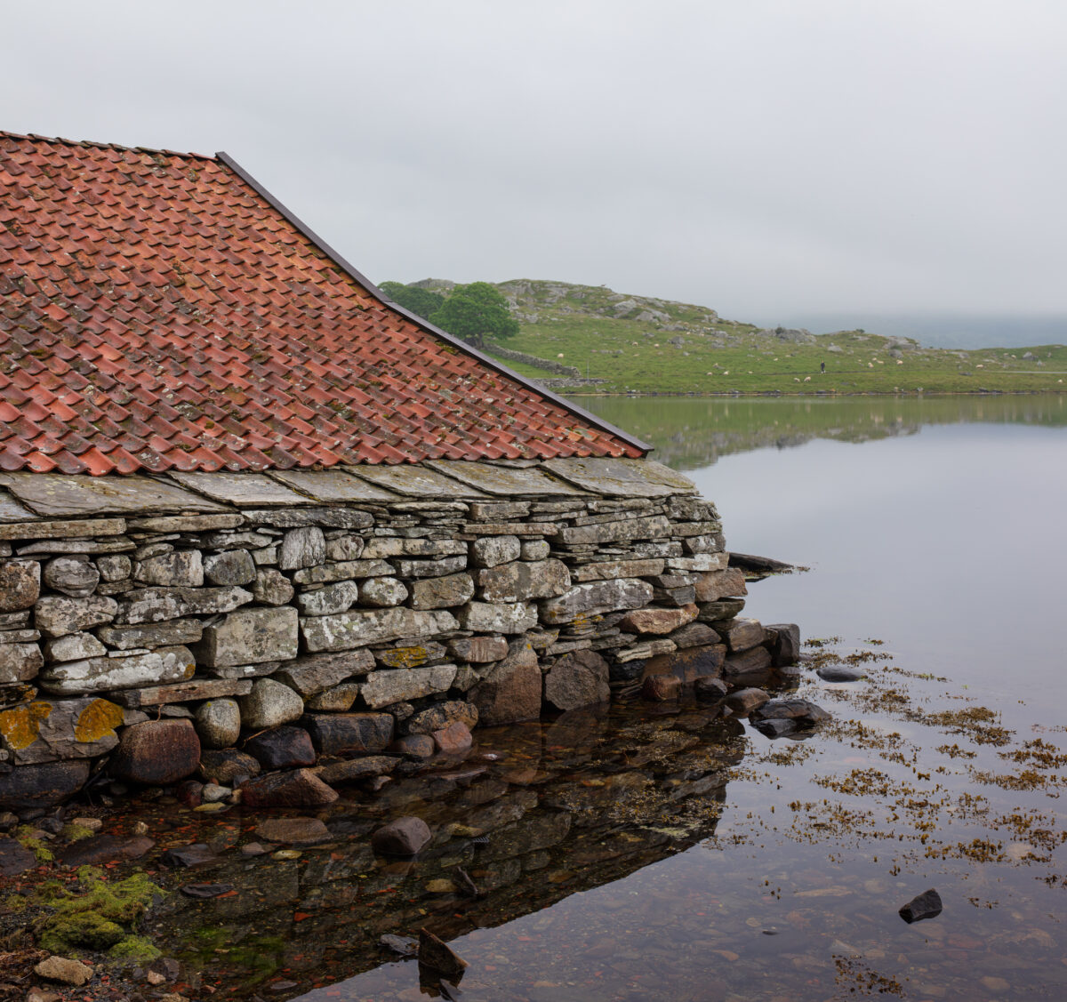 Naust vart gardsbutikk 9