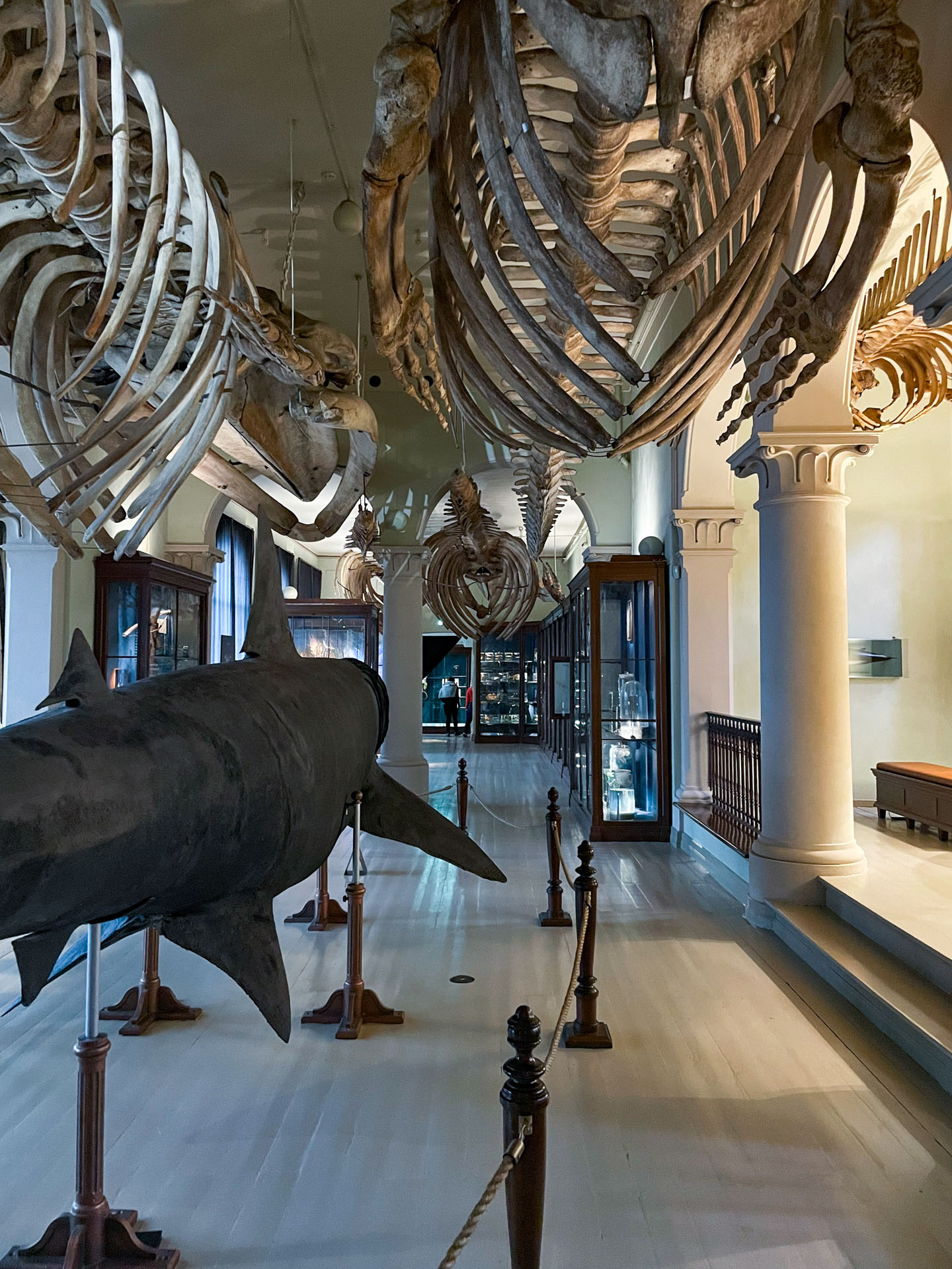 Nytt liv i historisk museum 6