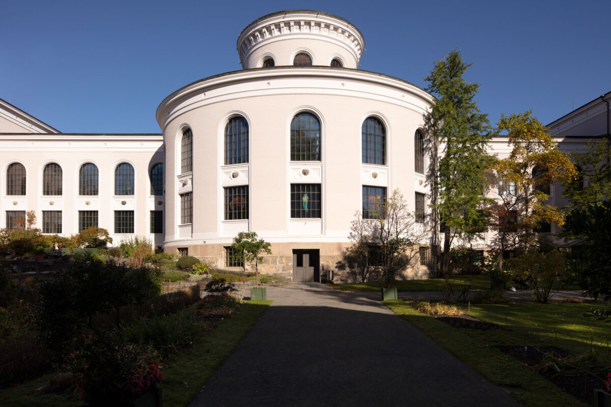 Nytt liv i historisk museum 7