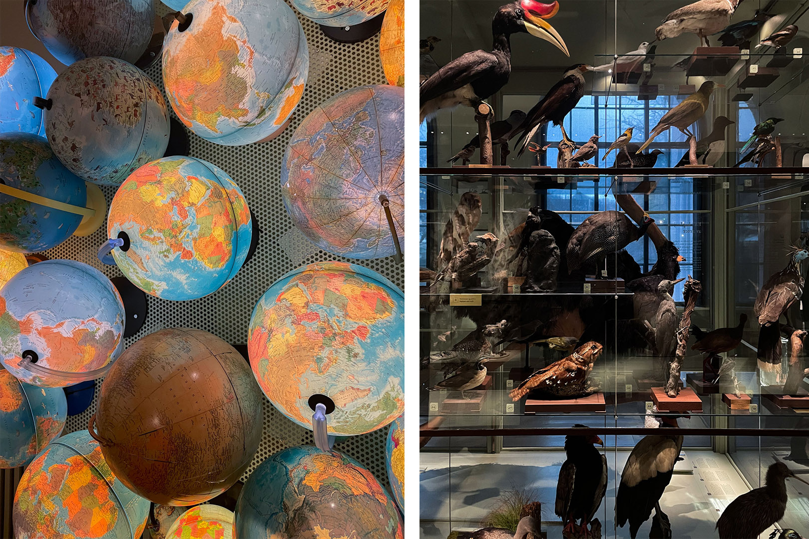 Nytt liv i historisk museum 11